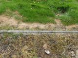 image of grave number 684211